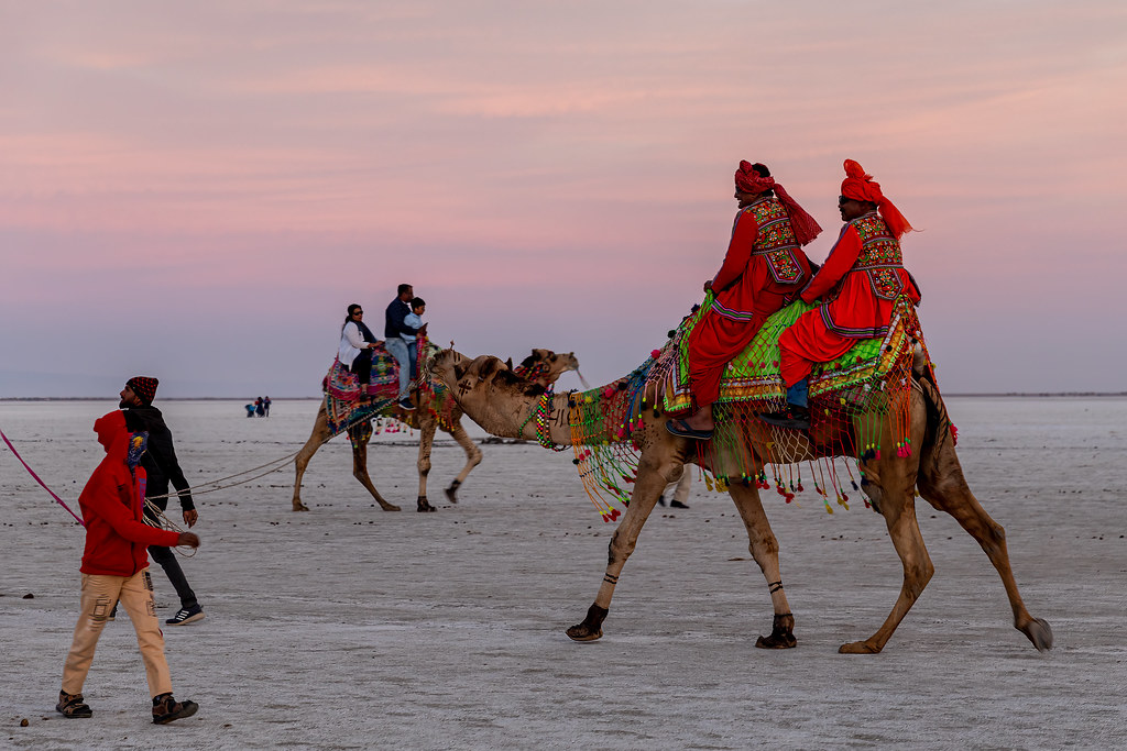 Kutch – Salt desert & tour HQ