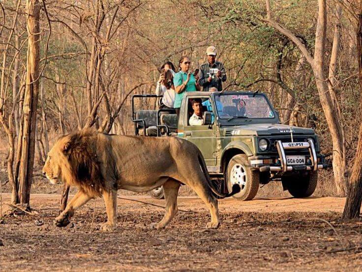 Sasan Gir — taxi from Rajkot by Mahadev Cabs